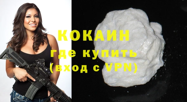гидра Надым