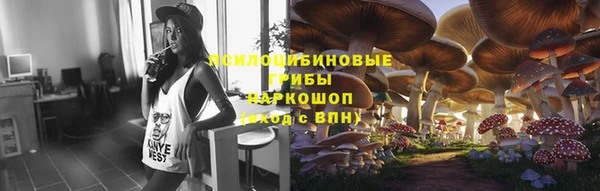 гидра Михайлов