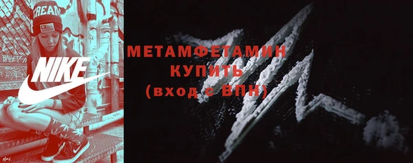 гидра Надым