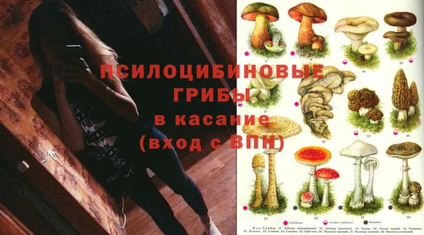 стаф Медвежьегорск
