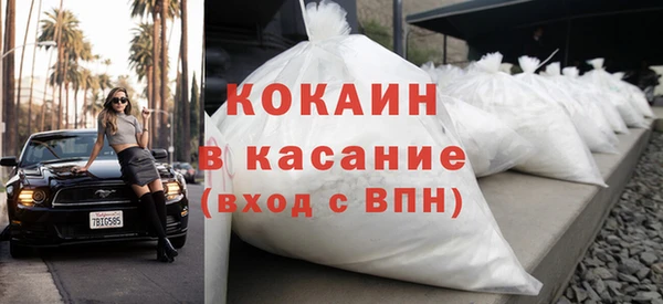 гидра Надым