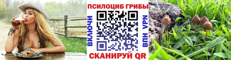 наркота Калач Псилоцибиновые грибы MAGIC MUSHROOMS